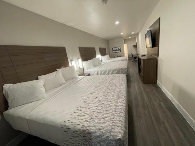 Palace Inn Blue - Garth Rd ベイタウン エクステリア 写真